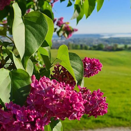 Schleipfnerhof Urlaub Auf Dem Bauernhof Βίλα Bernau am Chiemsee Εξωτερικό φωτογραφία